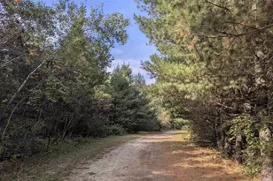 1152 Chicago Ln, Friendship, WI 53934 - Photo 53