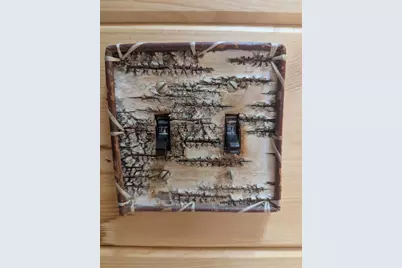 1152 Chicago Lane, Friendship, WI 53934 - Photo 45