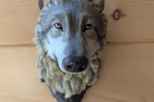 1152 Chicago Ln, Friendship, WI 53934 - Photo 41