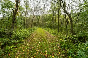 E11695 Chadwick Hollow Rd, Viola, WI 54664 - Photo 5