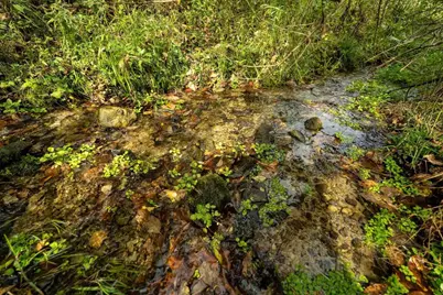 E11695 Chadwick Hollow Road, Viola, WI 54664 - Photo 3