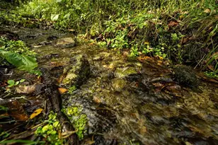 E11695 Chadwick Hollow Rd, Viola, WI 54664 - Photo 55