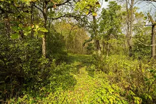 E11695 Chadwick Hollow Rd, Viola, WI 54664 - Photo 59