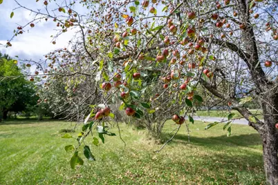 31395 Fresno Avenue, Tomah, WI 54460 - Photo 15