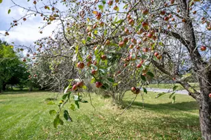 31395 Fresno Ave, Tomah, WI 54460 - Photo 15