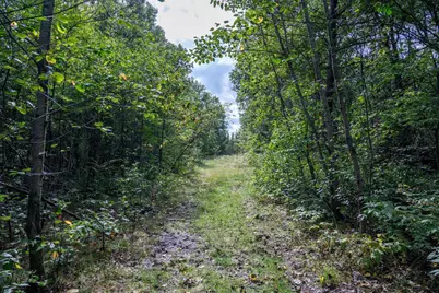 31395 Fresno Avenue, Tomah, WI 54460 - Photo 53