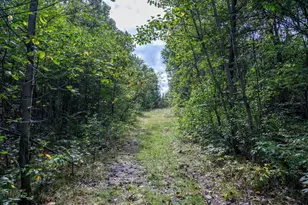 31395 Fresno Ave, Tomah, WI 54460 - Photo 53