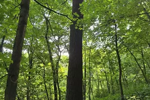 47298 Honey Farm Rd, Gays Mills, WI 54631 - Photo 53