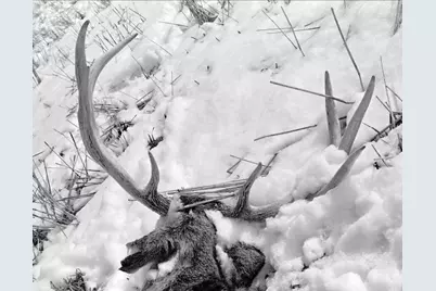 47298 Honey Farm Road, Gays Mills, WI 54631 - Photo 55