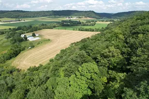 47298 Honey Farm Rd, Gays Mills, WI 54631 - Photo 49