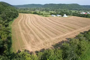 47298 Honey Farm Rd, Gays Mills, WI 54631 - Photo 7