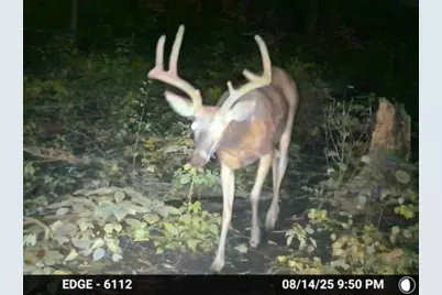 47298 Honey Farm Road, Gays Mills, WI 54631 - Photo 53