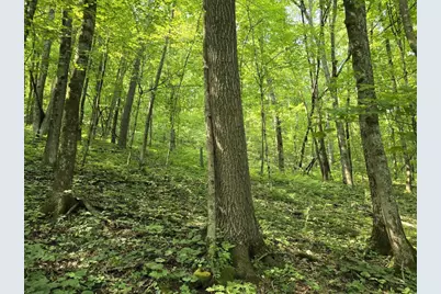 47298 Honey Farm Road, Gays Mills, WI 54631 - Photo 5