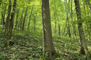 47298 Honey Farm Rd, Gays Mills, WI 54631 - Photo 51