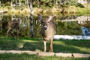 857 Kings Way, Nekoosa, WI 54457 - Photo 45