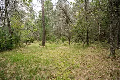 W6107 Dune Road, New Lisbon, WI 53950 - Photo 11