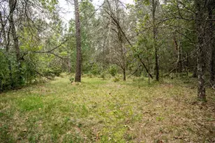 W6107 Dune Rd, New Lisbon, WI 53950 - Photo 11