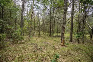 W6107 Dune Rd, New Lisbon, WI 53950 - Photo 13