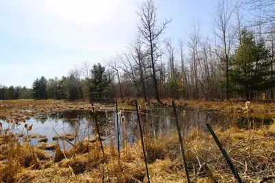 N15945 State Road 80, Necedah, WI 54646 - Photo 23