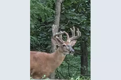 N8720 County Cx Road, Portage, WI 53901 - Photo 3