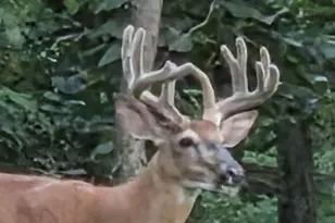 N8720 County Cx Rd, Portage, WI 53901 - Photo 3