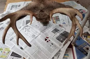 N8720 County Cx Rd, Portage, WI 53901 - Photo 39