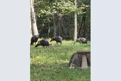 N8720 County Cx Road, Portage, WI 53901 - Photo 41