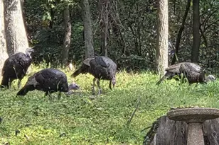 N8720 County Cx Rd, Portage, WI 53901 - Photo 41