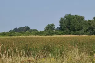 4923 Meek Rd, Arlington, WI 53911 - Photo 29