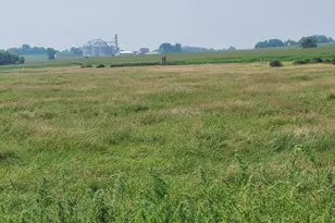 4923 Meek Rd, Arlington, WI 53911 - Photo 35