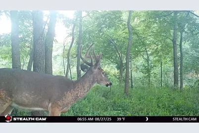 N2644 County Road O, Oxford, WI 53952 - Photo 23