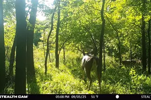 N2644 Co Rd O, Oxford, WI 53952 - Photo 27