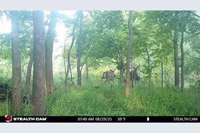 N2644 County Road O, Oxford, WI 53952 - Photo 25