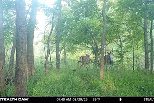 N2644 Co Rd O, Oxford, WI 53952 - Photo 25