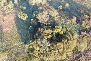 N2644 Co Rd O, Oxford, WI 53952 - Photo 35