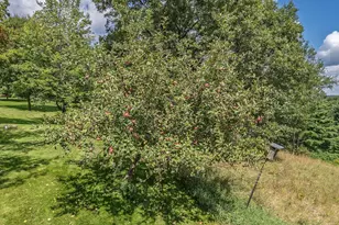 S1312 Brandt Rd, La Valle, WI 53941 - Photo 63