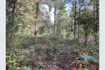 24486 Destiny Avenue, Tomah, WI 54660 - Photo 1