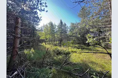 80 Ac 9th Acres, Adams, WI 53910 - Photo 11