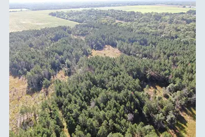 80 Ac 9th Acres, Adams, WI 53910 - Photo 7