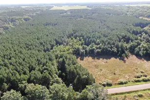 80 Ac 9th Acres, Adams, WI 53910 - Photo 1