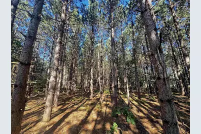 80 Ac 9th Acres, Adams, WI 53910 - Photo 43