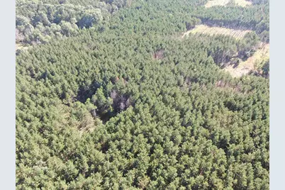 80 Ac 9th Acres, Adams, WI 53910 - Photo 25