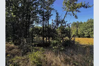 80 Ac 9th Acres, Adams, WI 53910 - Photo 37