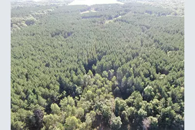 80 Ac 9th Acres, Adams, WI 53910 - Photo 23