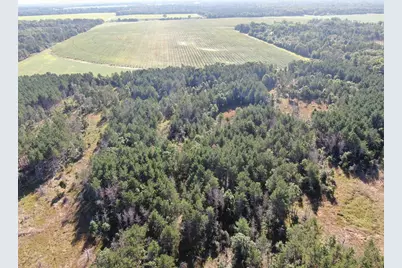 80 Ac 9th Acres, Adams, WI 53910 - Photo 29