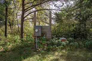 N11898 County Rd G, Necedah, WI 54646 - Photo 49