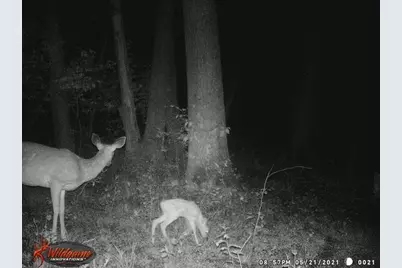 W2069 Elk Court, Montello, WI 53949 - Photo 55