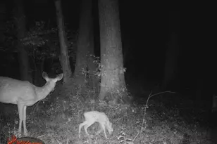 W2069 Elk Ct, Montello, WI 53949 - Photo 55