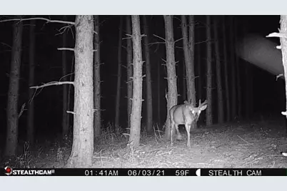 W2069 Elk Court, Montello, WI 53949 - Photo 57