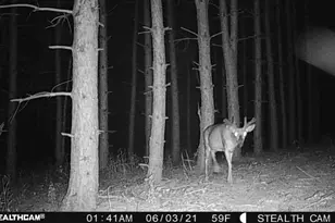 W2069 Elk Ct, Montello, WI 53949 - Photo 57